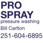 Pro Spray Painting and Pressure Washing