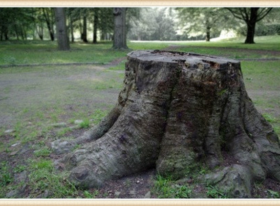 STUMP GRINDING - Fountain Run, KY