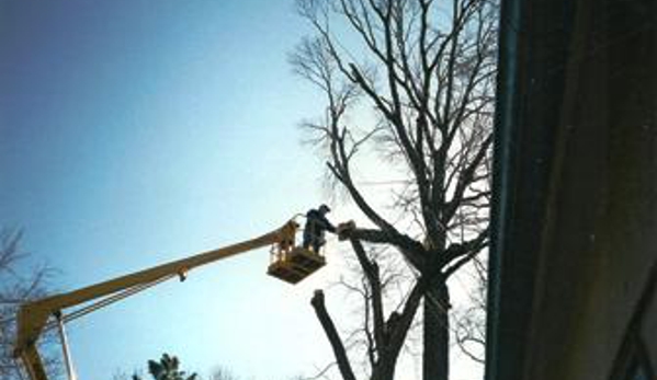 Del's Tree Service, LLC - Shawnee Mission, KS