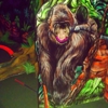 Wild Fun Zone gallery