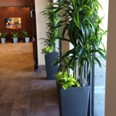 Green Life Interiors - Plants-Interior Design & Maintenance