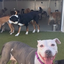 Paws 'n' Rec - St. Pete