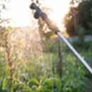 Nature's Rain Organic Lawn Care inc. - Tree Service