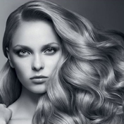 Gallery Image Number 1