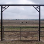 Buzz Custom Fence