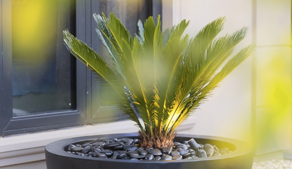 Supreme Green Landscaping - Wantirna, VIC