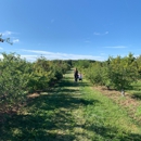 Stuckey Farms