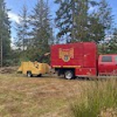 Gold Tooth Gorilla Tree Service - Arborists
