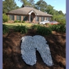 Rebecca Forrest DDS gallery