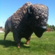Al's Oasis