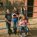 Barn Animal Buddies - Petting Zoos