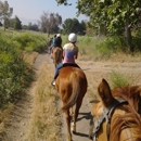 Prado Equestrian Center - Horse Dealers