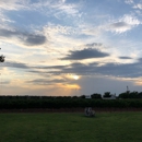 Farm House Vineyards - Wine