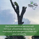 Texas Trees & More - Tree Service