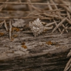 Designing Jewelers gallery