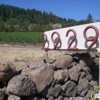 Vineyard 29 gallery