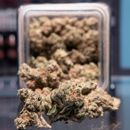 Star Buds - Holistic Practitioners