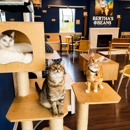 Bertha's Beans Cat Cafe - Pet Services