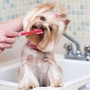 Awash & Groom Pet Services