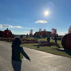 Land of the Giants Pumpkin Farm