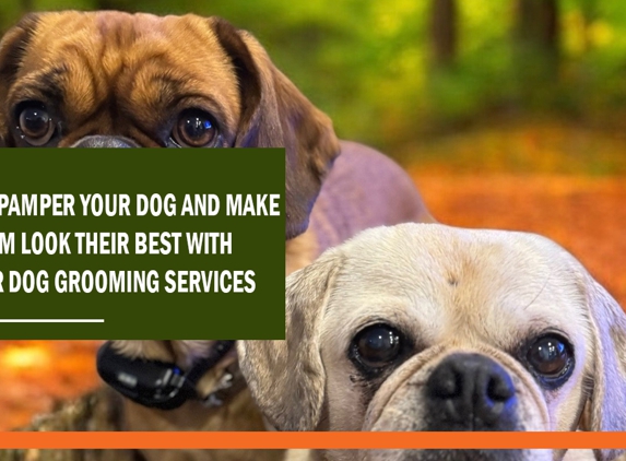 Foxy's Mobile Dog Washing & Grooming Service - Hawthorn, VIC. We pamper your dog and make them look their best with our dog grooming services.