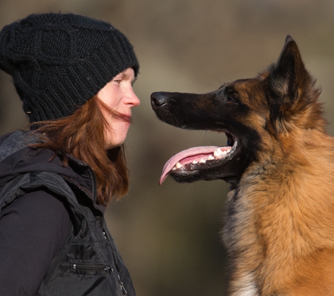 Elissa Cline Dog Training - Wilmington, OH