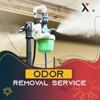 AXION Clean Mold Remediation