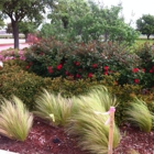 Lawson's Landscaping & Irrigation