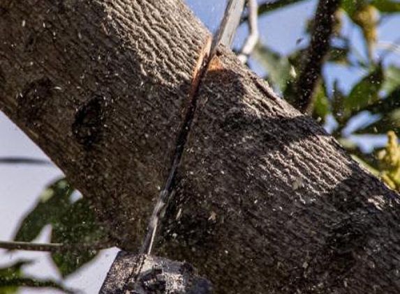 Lindbergh's Tree Service Greensboro - Greensboro, NC