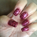 Gel With Shell - Nail Salons