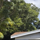 Trent's Tree Service The Neighborhood Arborist