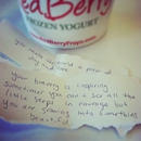 Redberry Frozen Yogurt - Yogurt