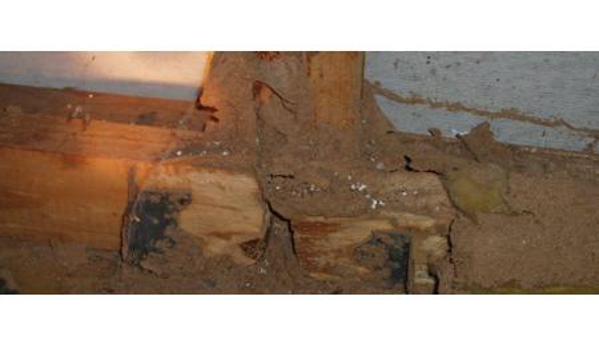 Be Sure Building & Pest Inspections - Rural View, QLD