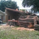 Briggs Tree Service - Landscaping & Lawn Services