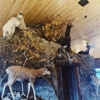 Bar-N-Ranch gallery