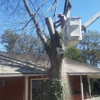Falling Timbers Tree Service gallery