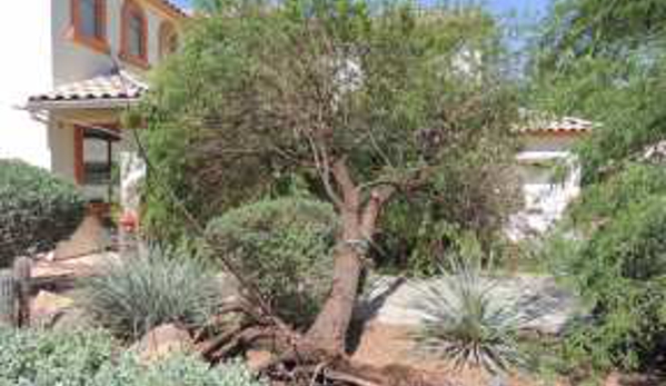 Harris & Sons Tree Specialists - Phoenix, AZ