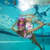 Goldfish Swim School - Plainfield gallery