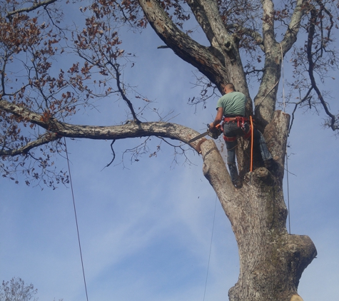 S&L Tree Service - Knoxville, TN