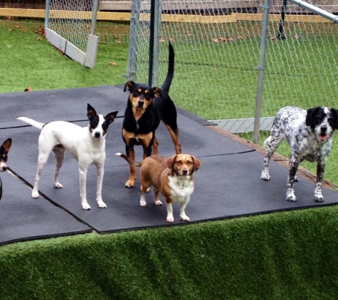 Fetching Ridge Pet Hotel and Spa - Boone, NC