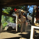 Lazy Dog Ranch - Pet Grooming