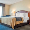 Comfort Inn & Suites Rochester - Greece gallery