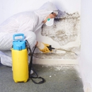 Mold Removal Hermosa Beach - Mold Remediation