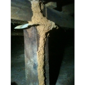Gallery Image Number 5
