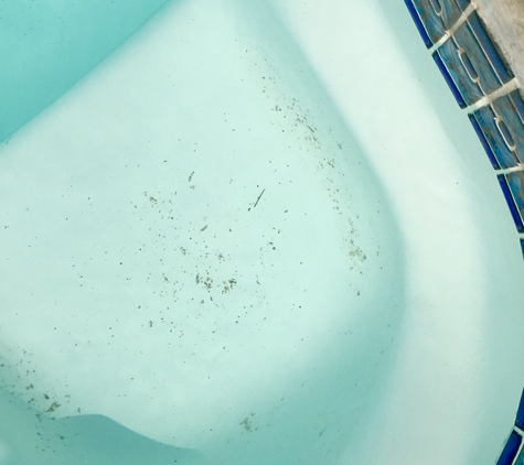 Aqua Care Pool Service - Columbia, SC. The seat with the "gunk" that VERY easily wiped off with my finger. Again this was directly after they "cleaned"