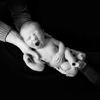 Dianna Capka Photography gallery