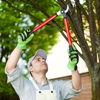 Wildlife Removal Company gallery
