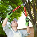 Wildlife Removal Company