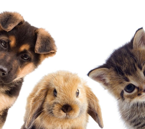 Broadmeadow Veterinary Hospital - Adamstown, NSW