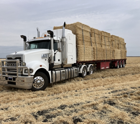 O'Dempsey Transport Pty Ltd - Warwick, QLD